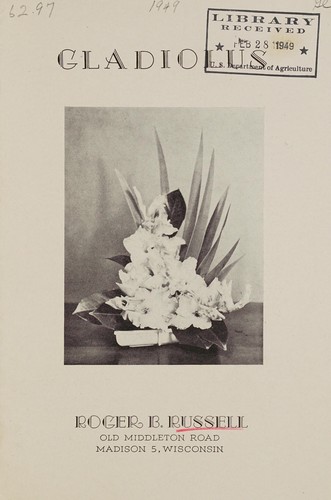 Gladiolus