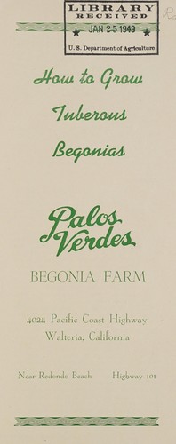 How to grow tuberous begonias