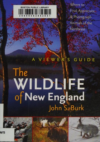 Wildlife of New England