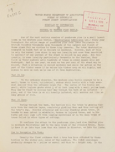 Circular of information on control of western pine beetle