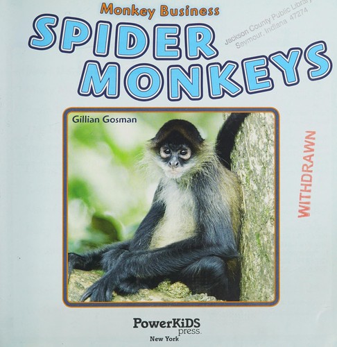 Spider monkeys