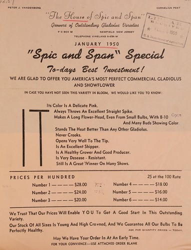 "Spic and span" special to-days best investment