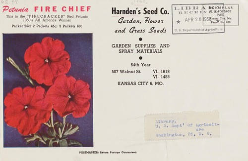 Garden, flower and grass seeds