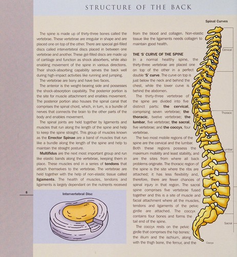 Yoga for back problems
