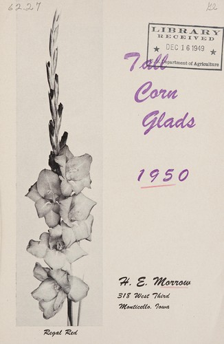 Tall corn glads, 1950