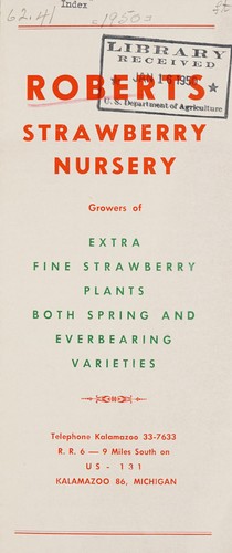 Extra fine strawberry plants both spring and everbearing varieties