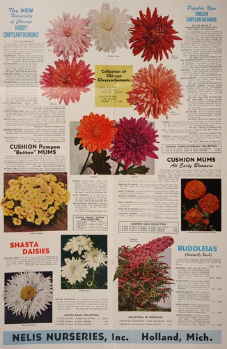 Nelis Nurseries, Inc., Holland, Michigan, 1950
