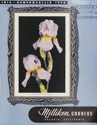 Iris, hemerocallis 1950