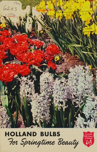 Holland bulbs for springtime beauty