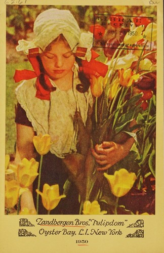Zandbergen Bros., "Tulipdom"