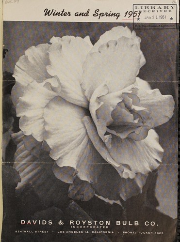Winter and spring 1951