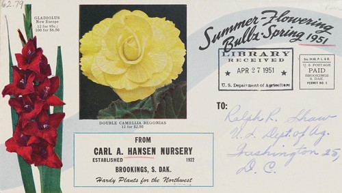 Summer-flowering bulbs, spring 1951
