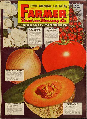 1951 annual catalog