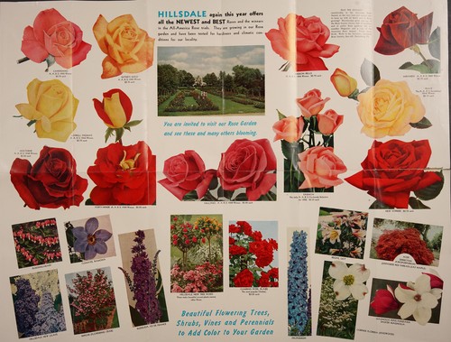 Come to Hillsdale see and enjoy the largest rose garden in Indiana