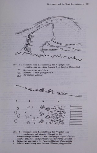 Pflanzengesellschaften am meeresstrand im Kongs- und Krossfjord (West-Spitzbergen)