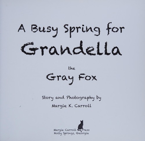 A busy spring for Grandella the gray fox