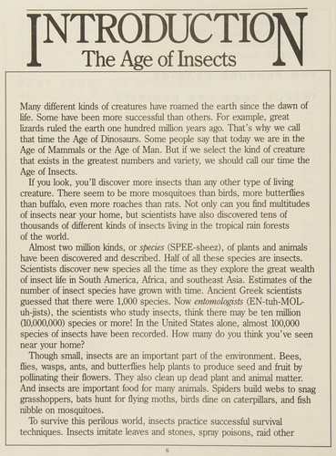 Start Exploring Insects