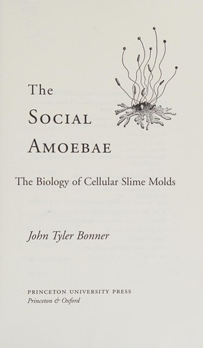 Social Amoebae