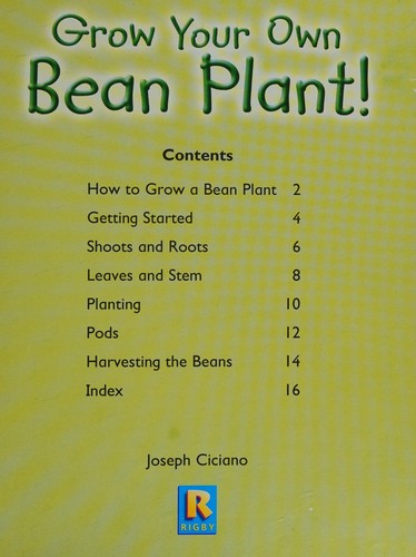 Grow your own bean plant!