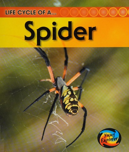 Life cycle of a spider