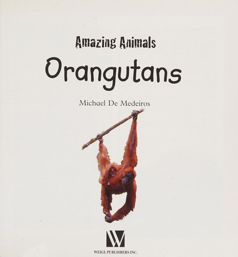 Orangutans