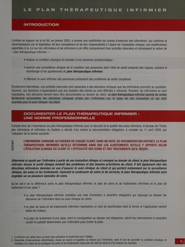 Le plan thérapeutique infirmier