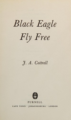 Black eagle fly free