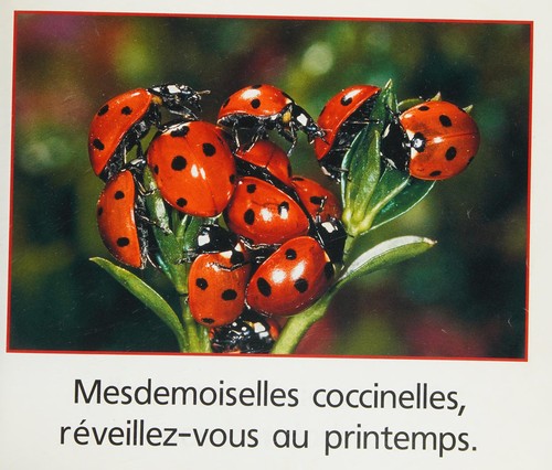 Les coccinelles