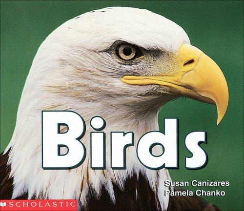 Birds =