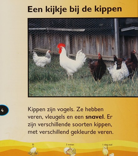 Het leven van een kip