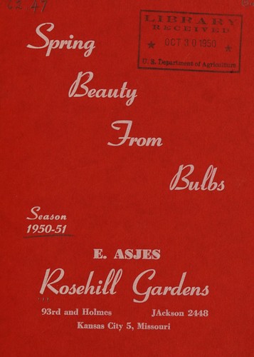 Spring beauty from bulbs