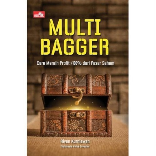 MULTIBAGGER