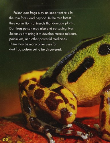 Poison dart frogs