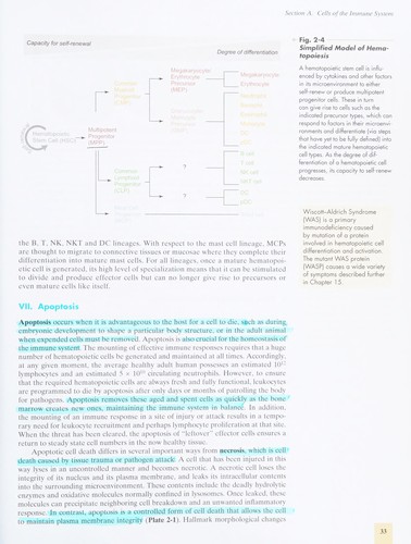 Primer to the Immune Response
