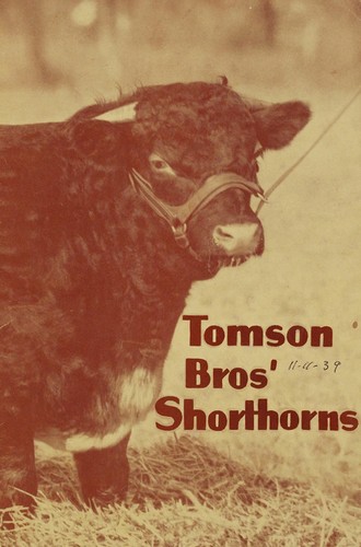 Tomson Brothers shorthorns
