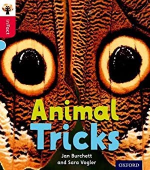 Animal Tricks, Levels 4