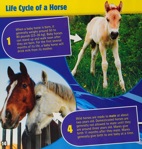 A horse's life