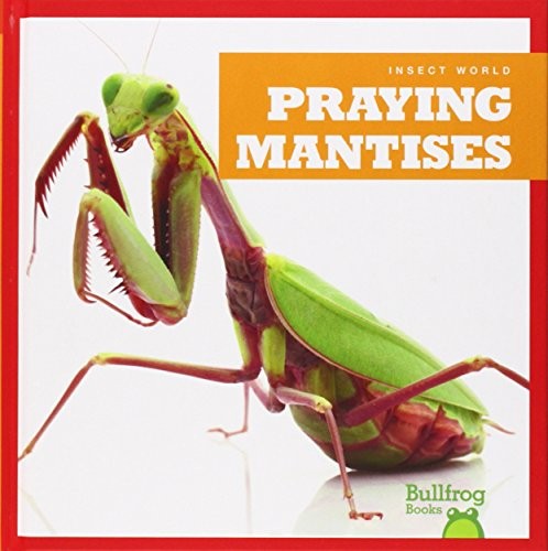 Praying mantises