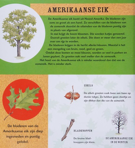 Bladeren herkennen, drogen en verzamelen