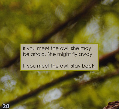 Owls