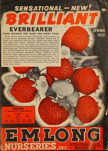Spring 1952