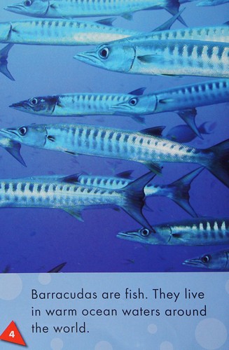 Barracudas