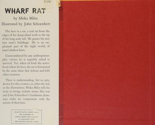 Wharf rat