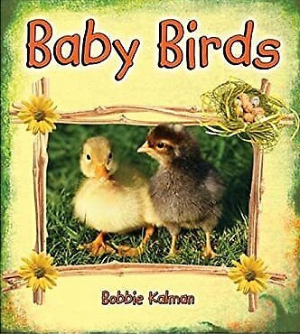 Baby birds