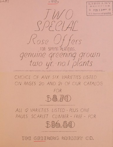 Two special rose offers for spring planting