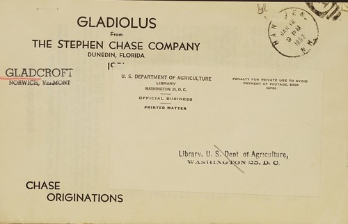 Gladiolus from the Stephen Chase Company, 1951