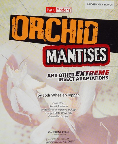Orchid Mantises and Other Extreme Insect Adaptations