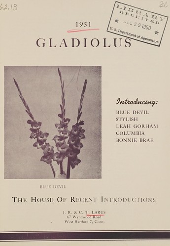 Gladiolus 1951