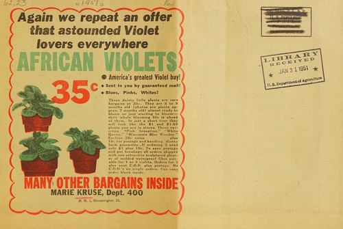 Again we repeat an offer that astounded Violet lovers everywhere African violets