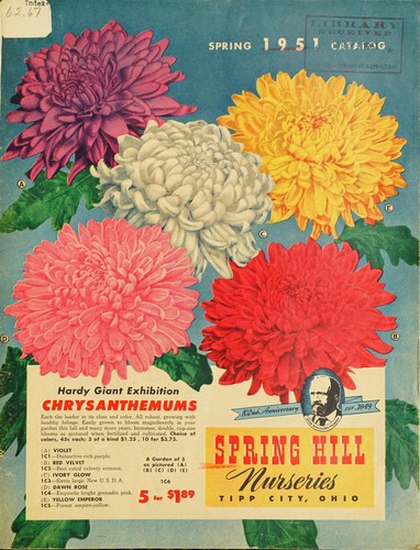 Spring 1951 catalog